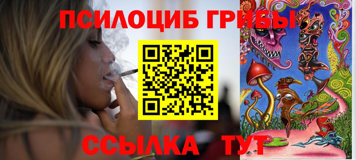Галлюциногенные грибы GOLDEN TEACHER Киселёвск